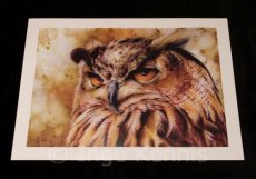 Limeted print edition Eagle Owl