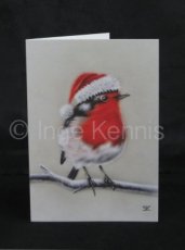 Christmascard Robin