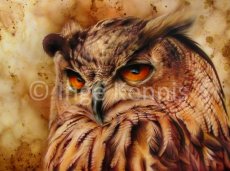 Postcard Eurasian eagle owl