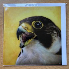 Postcard Peregrine Falcon