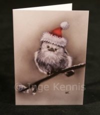 Vogel Reeks 4 Kerstkaarten Christmascards Bird